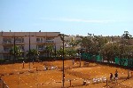 Tenis