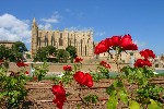 Hotel Mallorca - kouzelný ostrov dovolená