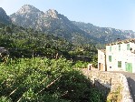 Jaro na Mallorce 3_212300.jpg