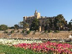 Mallorca- Palma_212295.jpg