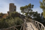 Španělsko, Mallorca, Palma de Mallorca - RELAX NA PLÁŽÍCH MALLORKY + POBŘEŽNÍ PLAVBA LODÍ + OSTROVNÍ VENKOV (LETECKY Z PRAHY)