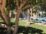 Španělsko, Menorca, Santandría - Apartamentos Llebeig