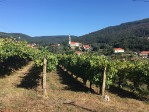 Španělsko, Španělsko, Galicie, Vigo, Portugalsko, Porto a okolí, Porto - Svatojakubská pouť 3 - portugalská cesta z Porta do Santiaga de Compostela
