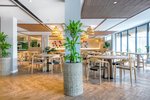 Restaurace