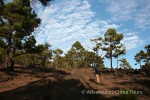 Hotel Kanárské ostrovy – Tenerife, La Palma a La Gomera dovolená