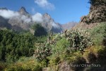 Hotel Kanárské ostrovy – Tenerife, La Palma a La Gomera dovolená