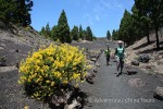 Hotel Kanárské ostrovy – Tenerife, La Palma a La Gomera dovolená