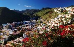 Španělsko, Tenerife, Španělsko, Tenerife, Puerto de la Cruz - Kanárské ostrovy - Tenerife, 7 dní