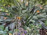 Botanická zahrada 