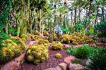 Španělsko - Valencie, Alicante, Elche, hrady a pevnosti