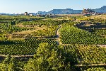 Španělsko - Valencie, Alicante, Elche, hrady a pevnosti