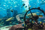 Aquarium