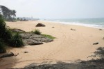Srí Lanka, Jižní pobřeží, Ambalangoda - RAMON BEACH RESORT