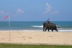 Srí Lanka, Srí Lanka, Bentota - BENTOTA BEACH