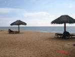 Srí Lanka, Srí Lanka, Chilaw - CAROLINA BEACH HOTEL