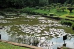 Srí Lanka, Srí Lanka, Sigiriya - Best of Sri Lanka