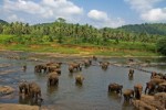 Srí Lanka, Srí Lanka, Sigiriya - Přírodní bohatství Srí Lanky