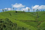 Srí Lanka, Srí Lanka, Sigiriya - Přírodní bohatství Srí Lanky