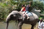 Srí Lanka, Srí Lanka, Západní pobřeží, Kalutara - Okruh střední a jižní Srí Lankou/Kalutara