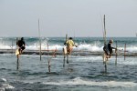 Srí Lanka, Srí Lanka, Západní pobřeží, Kalutara - Okruh střední a jižní Srí Lankou/Kalutara