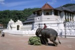 Srí Lanka, Srí Lanka, Západní pobřeží, Kalutara - Okruh střední a jižní Srí Lankou/Kalutara