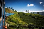 Srí Lanka, Vnitrozemí, Tea Country - THE FIRS