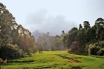 Srí Lanka - Vyzkoušejte golf na Srí Lance