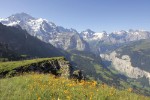 Švýcarsko, Kanton Bern, Jungfrau Ski Region - SUNSTAR WENGEN
