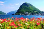 Ze_subtrop_švýcarska_san-salvatore-11_246245.jpeg