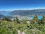 IMG_1572