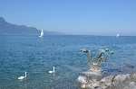 Ženevské jezero_199786.JPG