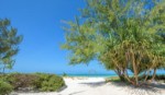 Hotel Hakuna Majiwe Ora Resort dovolená