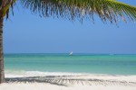 (Tanzánie, Zanzibar, Kiwengwa) - NEPTUNE PWANI BEACH RESORT & SPA 