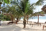Hotel Jaz Adonia Beach Resort dovolenka
