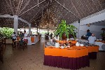 Hotel Jaz Adonia Beach Resort dovolenka