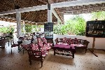 Hotel Jaz Adonia Beach Resort dovolenka
