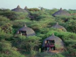 Tanzánie - Safari v srdci divočiny
