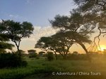 Hotel Safari a migrace v NP Tanzanie a Zanzibar dovolená