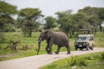 Hotel Safari v Tanzanii a exotický Zanzibar dovolená