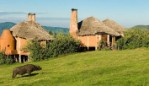 (Tanzánie, Vnitrozemí) - NGORONGORO CRATER LODGE