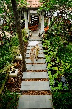 Hotel Bangkok - Pattaya - Ko Samui (BANGKOK PALACE HOTEL + LONG BEACH GARDEN HOTEL + CHAWENG REGENT BEACH) dovolená