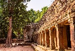 Chrám Ta Phrom, Kambodža
