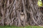 Buddha ve Wat Mahathat, Phra Nakhon Si Ayutthaya