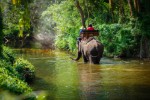 Jízda na slonech v Thajsku