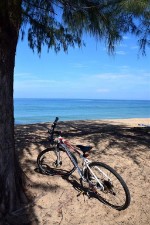 Thajsko, Chonburi, Pattaya - LE CORAL HIDEAWAY