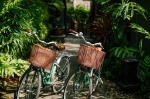 Hotel Anantara Phuket Layan Resort & Spa dovolená
