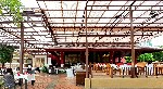 Restaurace The Plam