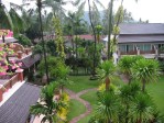 Hotel Bangkok - Ko Samui (BANGKOK PALACE HOTEL + AMMATARA PURA RESORT) dovolená