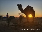 Hotel Tunisko – přechod pouště na velbloudech dovolená