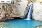 CKFisher.HotelDetail.Image.AltText